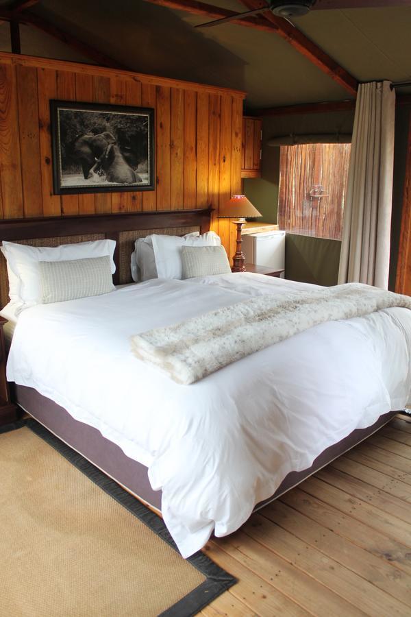 Addo Elephant Lodge & Safaris Kirkwood Habitación foto
