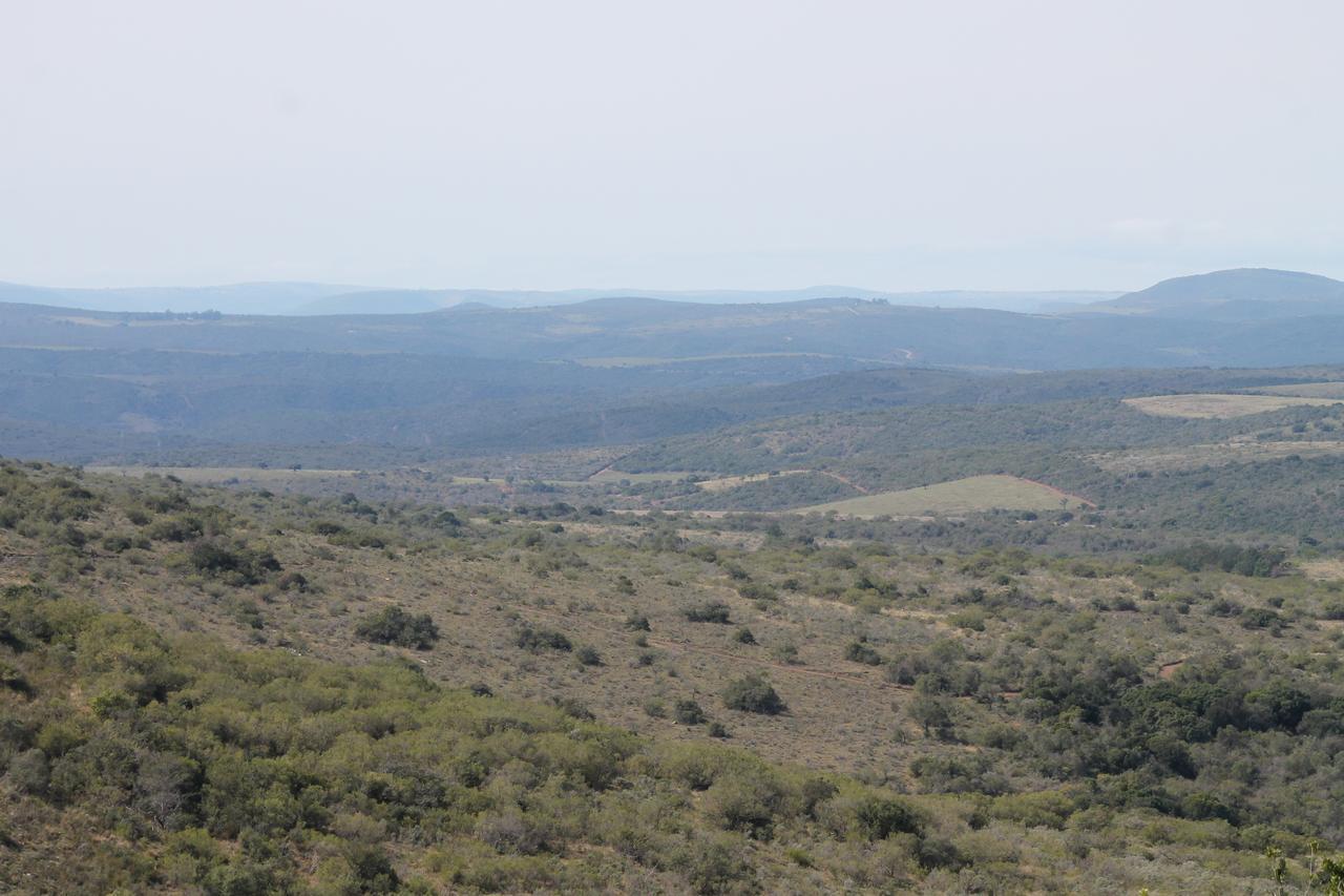 Addo Elephant Lodge & Safaris Kirkwood Exterior foto